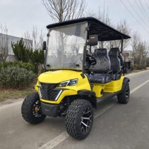 CST-01 Custom Golf Cart (1)