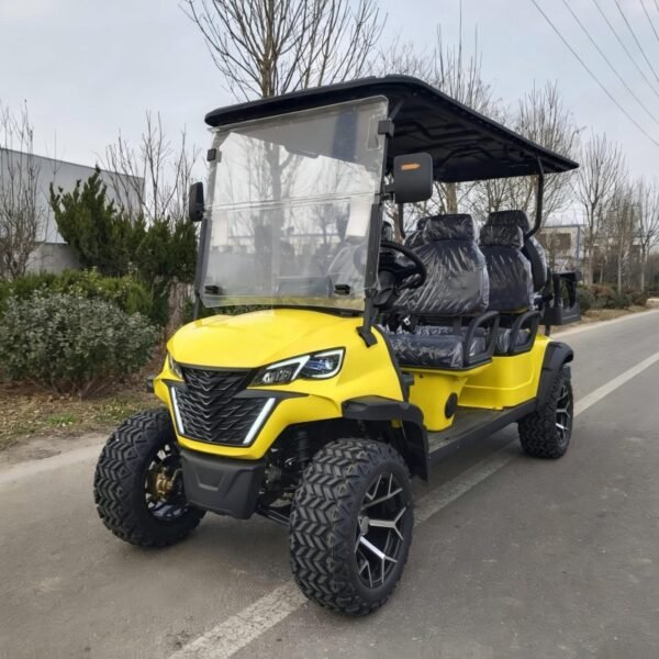 CST-01 Custom Golf Cart (1)