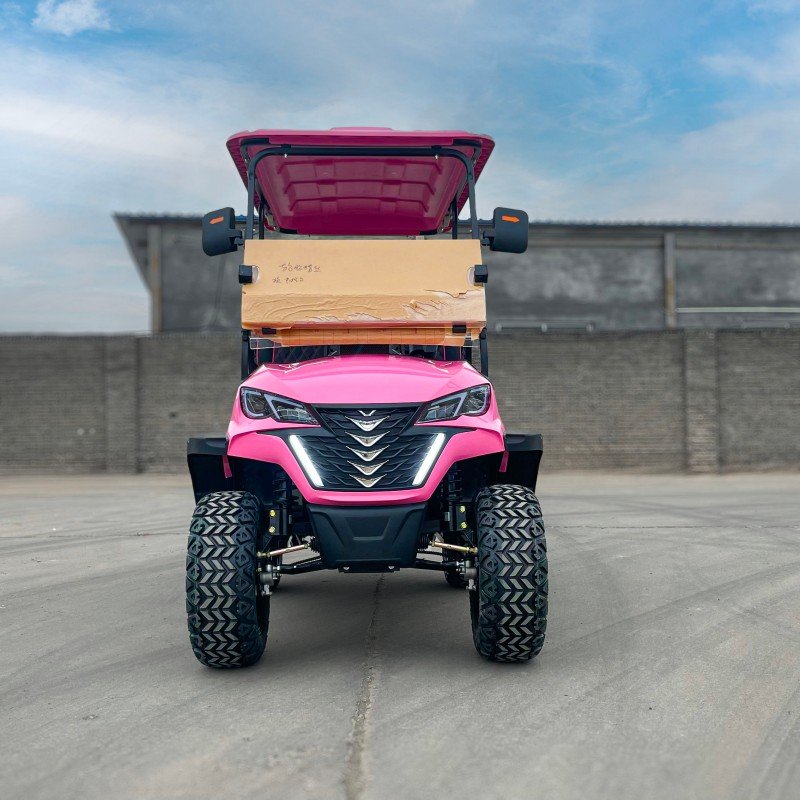 CST-02 Custom Golf Cart1