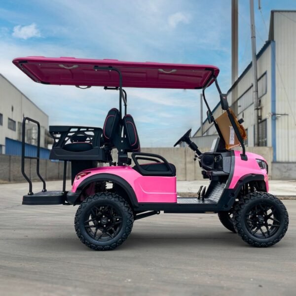 CST-02 Custom Golf Cart – Versatile Lithium Electric Golf Cart for ...