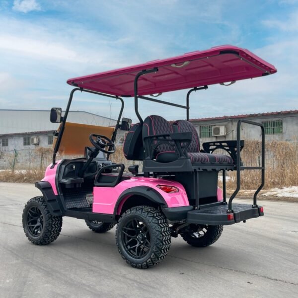 CST-02 Custom Golf Cart – Versatile Lithium Electric Golf Cart for ...