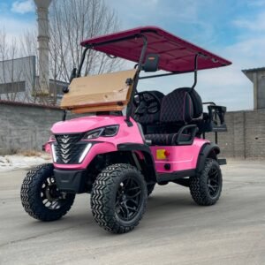 CST-02 Custom Golf Cart5