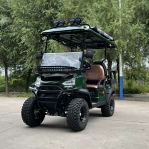 CST-03 Custom Golf Car (2)