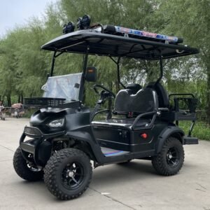 CST-04 Custom Golf Cart (1)