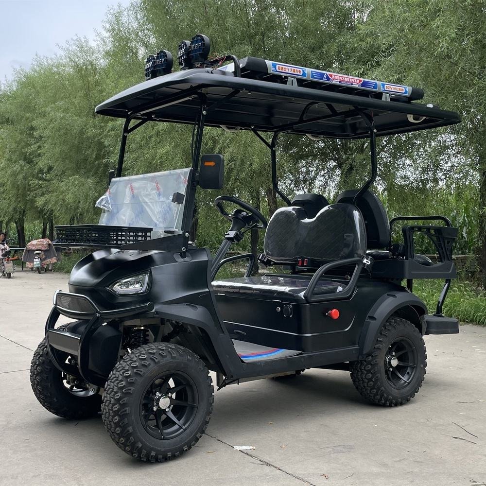 CST-04 Custom Golf Cart (1)
