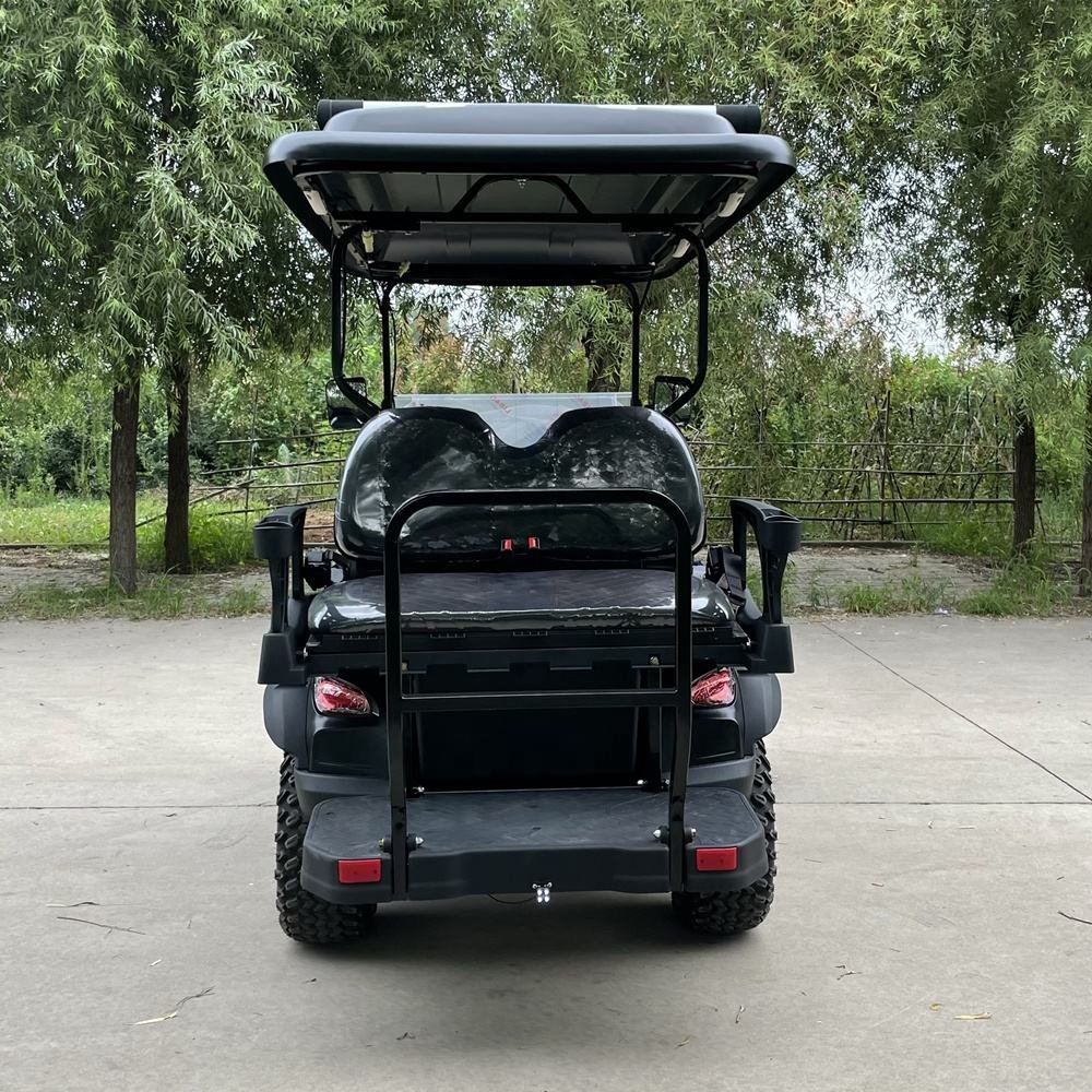 CST-04 Custom Golf Cart (3)