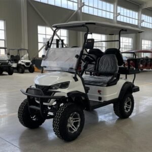 CST-05 Custom Golf Cart (1)