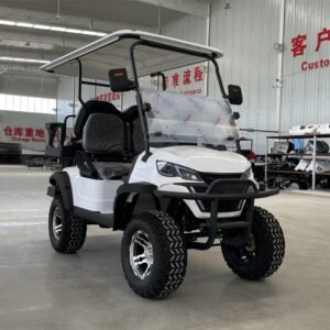 CST-05 Custom Golf Cart (4)