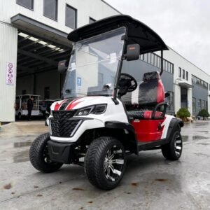 EGC-01 Electric Golf Cart (6)