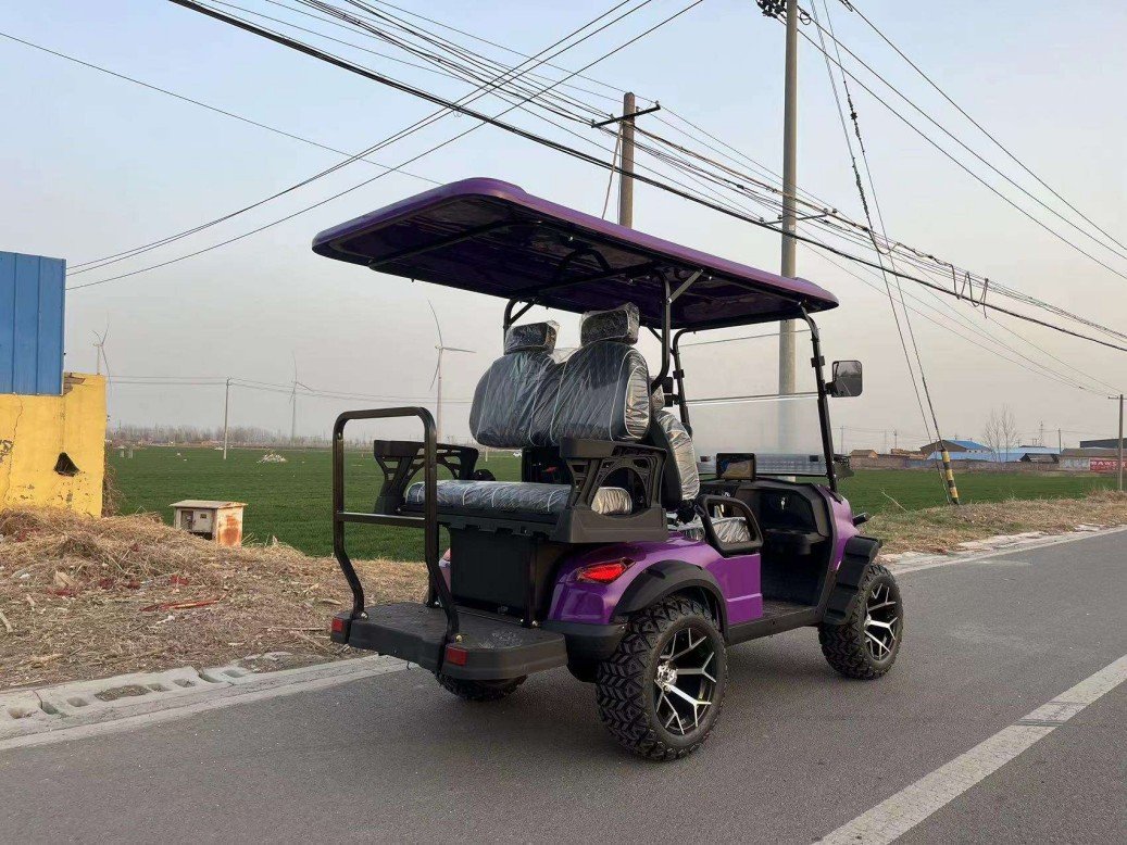 EGC-02 Electric Golf Cart (2)