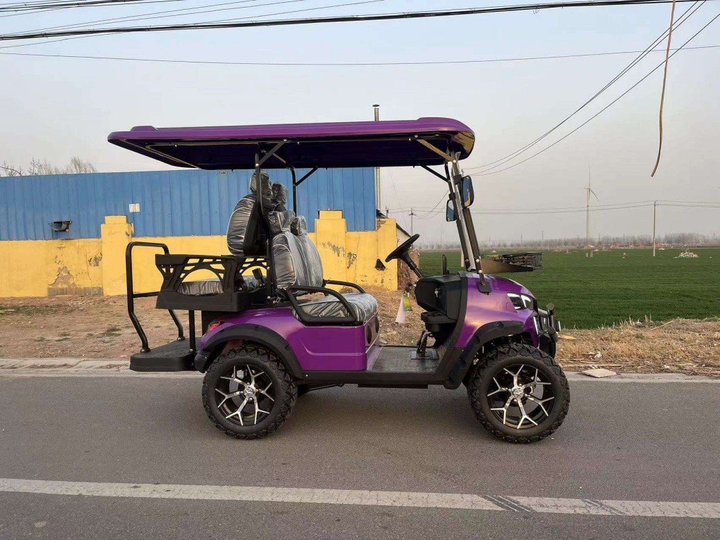 EGC-02 Electric Golf Cart (3)