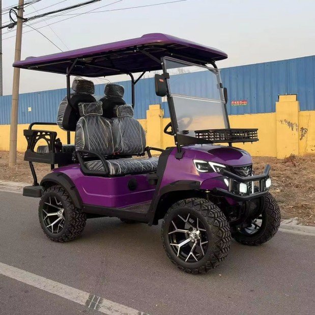 EGC-02 Electric Golf Cart (6)