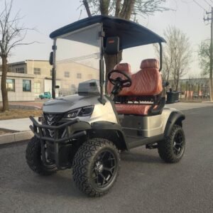 COM-04 Custom Golf Cart (1)