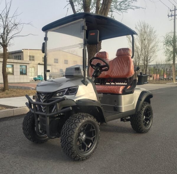 COM-04 Custom Golf Cart (1)