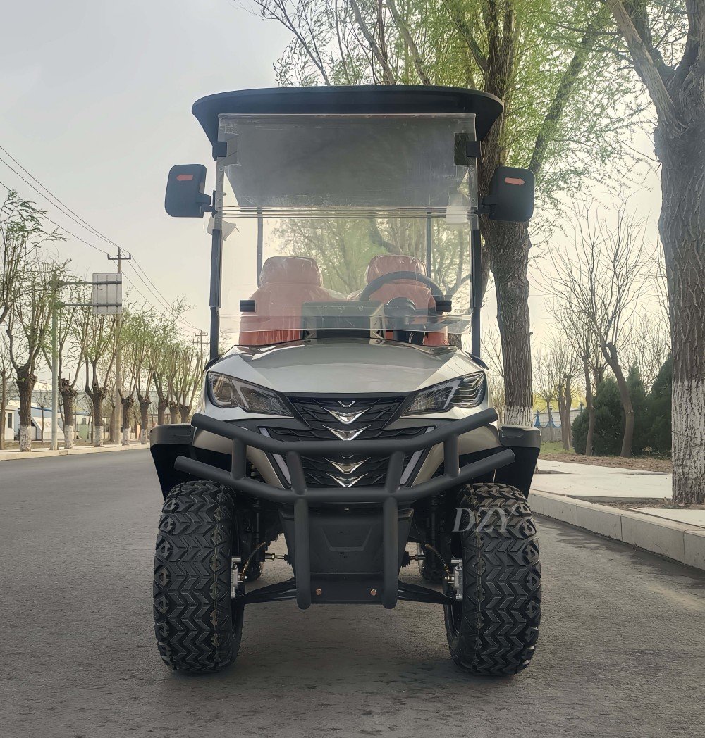 COM-04 Custom Golf Cart (3)