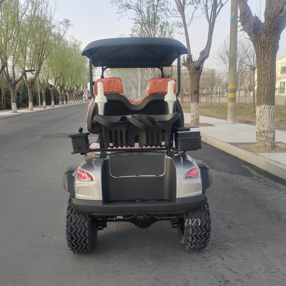 COM-04 Custom Golf Cart (4)