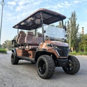 LSV-01 Street Legal Golf Cart